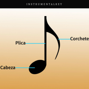 estructura de una nota aprender leer musica