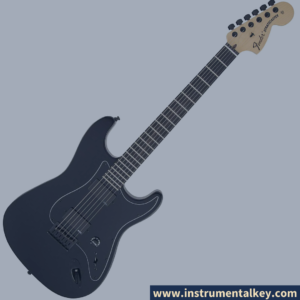 fender jim root stratocaster