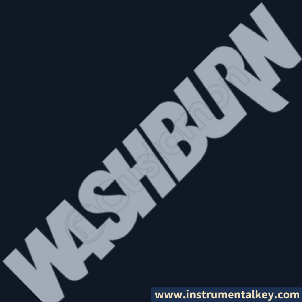 marca washburn logo